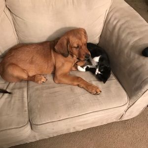 Meet your Posher, Caleb